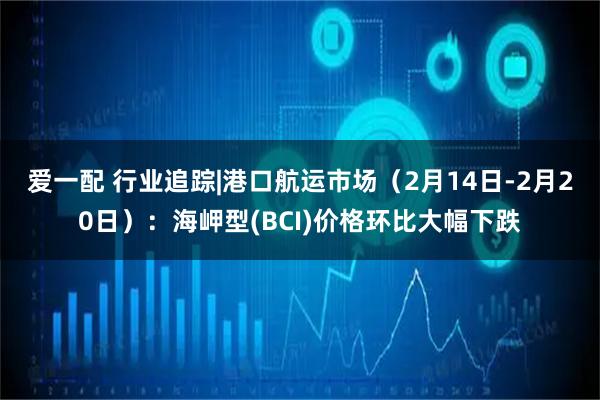 爱一配 行业追踪|港口航运市场（2月14日-2月20日）：海岬型(BCI)价格环比大幅下跌