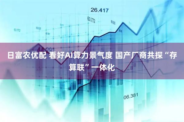 日富农优配 看好AI算力景气度 国产厂商共探“存算联”一体化