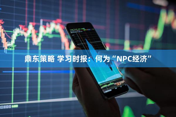 鼎东策略 学习时报：何为“NPC经济”