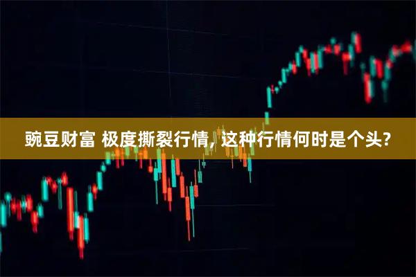 豌豆财富 极度撕裂行情, 这种行情何时是个头?