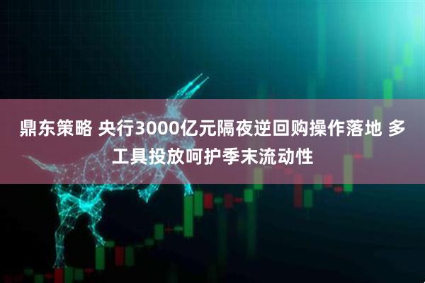 鼎东策略 央行3000亿元隔夜逆回购操作落地 多工具投放呵护季末流动性