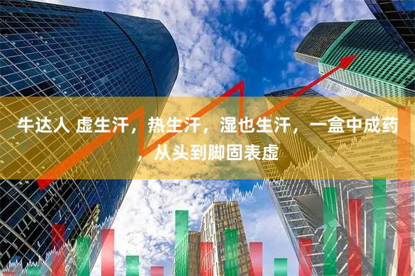 牛达人 虚生汗，热生汗，湿也生汗，一盒中成药，从头到脚固表虚