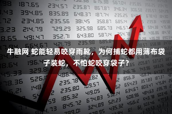 牛融网 蛇能轻易咬穿雨靴，为何捕蛇都用薄布袋子装蛇，不怕蛇咬穿袋子？
